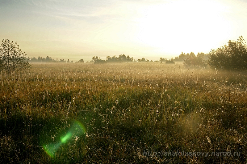 silkwayrally-2010_082.jpg - Утренний туман в Вязьме